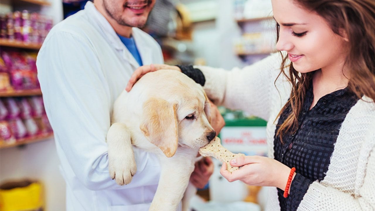 Pet Nutrition for Veterinary Administrative Assistants