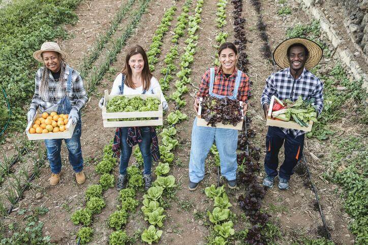 Smiling community service workers holding up organic food at a farm after completing their community service worker training 